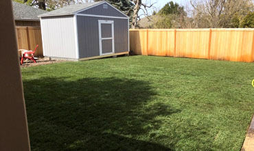 lawn installation 13